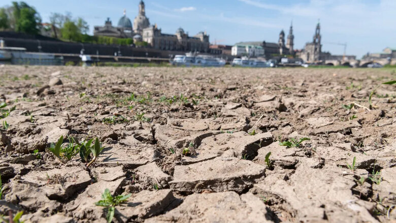 Das ausgetrocknete Flussbett der Elbe mit der Dresdener Altstadt im Hintergrund.